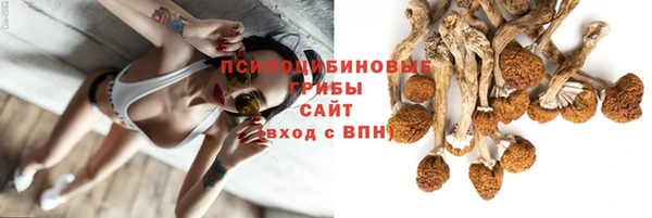 ГАЛЛЮЦИНОГЕННЫЕ ГРИБЫ Алексин