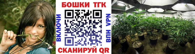 купить наркотик  Наволоки  Бошки марихуана SATIVA & INDICA 